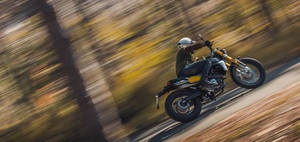 Fantic Caballero 125cc Scrambler 3