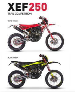 Fantic XEF 250 Trail 2024 2